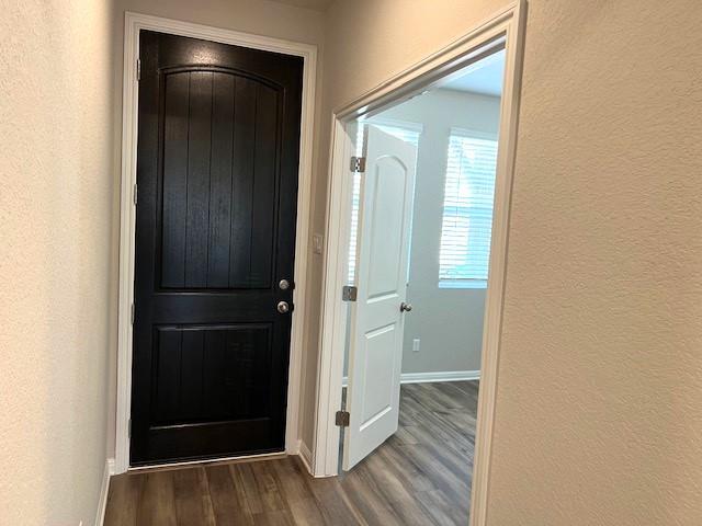 302 Marjorie Dr in Hutto, TX - Building Photo - Building Photo