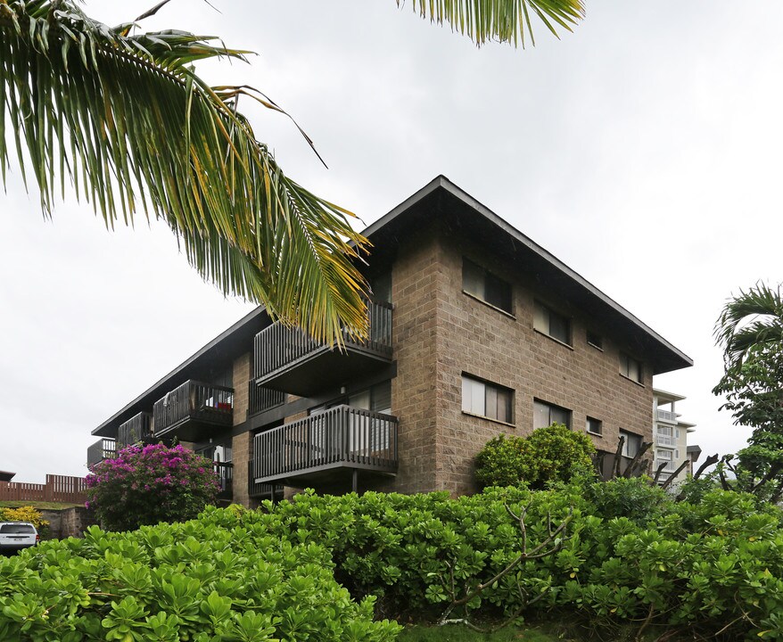 1743 Nana St in Kahului, HI - Building Photo