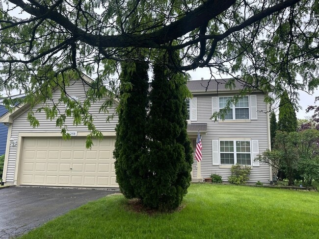 21258 Cascade Ct in Plainfield, IL - Building Photo - Building Photo