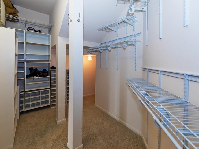 property at 3334 Spring Landing Ln