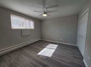 131 N Cuyler Ave in Oak Park, IL - Building Photo - Building Photo