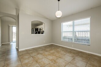 18036 Birdwater Dr in Tampa, FL - Foto de edificio - Building Photo