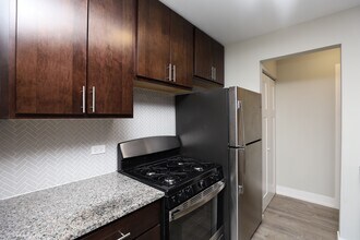 533 W Surf St in Chicago, IL - Building Photo - Building Photo