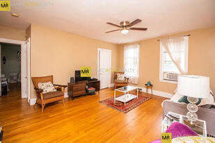 234 Cypress St, Unit 1 in Brookline, MA - Building Photo - Building Photo