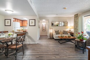 Palazzo Senior Apartments - 55+ Active Adult in Phoenix, AZ - Building Photo
