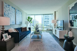 363 E Ohio St in Chicago, IL - Building Photo - Building Photo