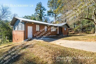 101 Blackberry Ln in Birmingham, AL - Building Photo - Building Photo