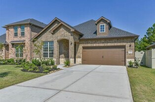 10005 Red Beadtree Pl in Shenandoah, TX - Building Photo