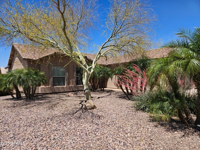 6982 S Oxford Ln in Chandler, AZ - Building Photo - Building Photo