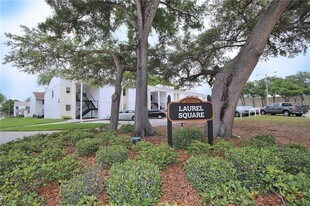 3815 N Oak Dr in Tampa, FL - Building Photo