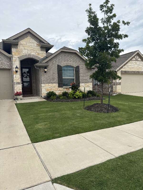 7204 Black Cherry Ln in McKinney, TX - Building Photo - Building Photo