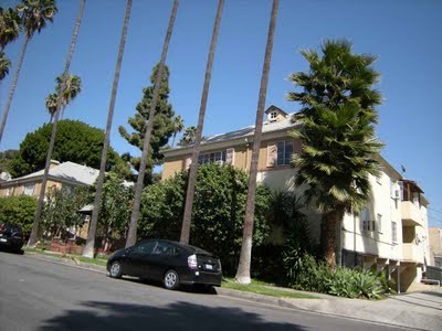 1650 N Ogden Dr in Los Angeles, CA - Building Photo