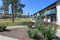 Whispering Pines Apartments photo'