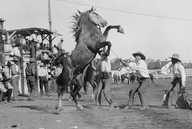 The Union at Stockyards in Fort Worth, TX - Building Photo - Building Photo