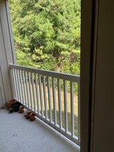 1704 Pr 3097, Unit 1 in Oxford, MS - Building Photo - Building Photo