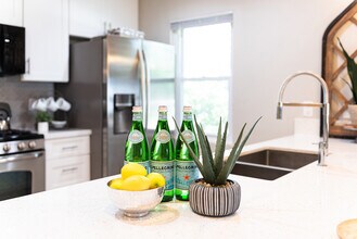 1043 Grand Jct Dr in Katy, TX - Building Photo - Building Photo