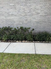 10818 Catclaw Ct in Tomball, TX - Building Photo - Building Photo