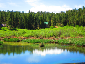 15729 Pine Lake Dr in Woodland Park, CO - Foto de edificio - Building Photo