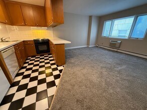 1321 Franklin in Milwaukee, WI - Foto de edificio - Building Photo