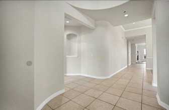 11036 Coralberry Dr in Frisco, TX - Building Photo - Building Photo