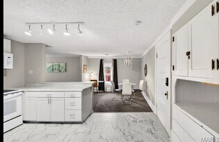 5103 Waterman Blvd in St. Louis, MO - Building Photo