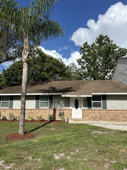 30124 Magnolia Ave in Sorrento, FL - Building Photo