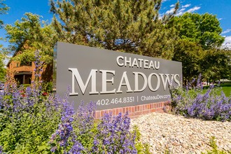 Chateau Meadows in Lincoln, NE - Building Photo - Building Photo