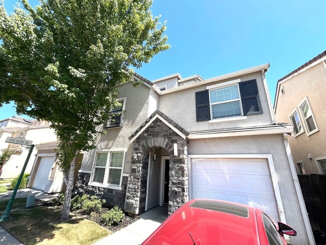 property at 1437 Cat Tail Dr