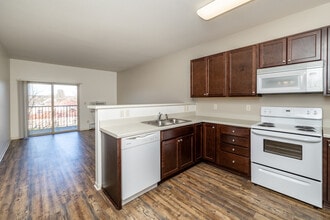 Richard Apartments in Rochester, MN - Building Photo - Interior Photo