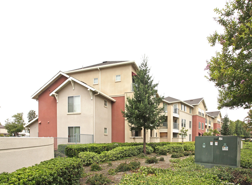 Arbor Park in San Jose, CA - Building Photo