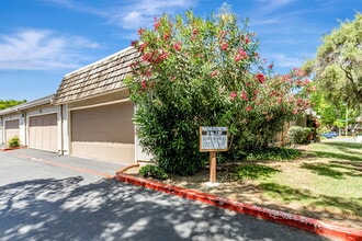 4619 Black River Ct in San Jose, CA - Building Photo - Building Photo