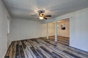 11405 Ashefield Ln in Hampton, GA - Building Photo