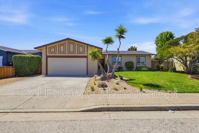 property at 905 Pellegrini St