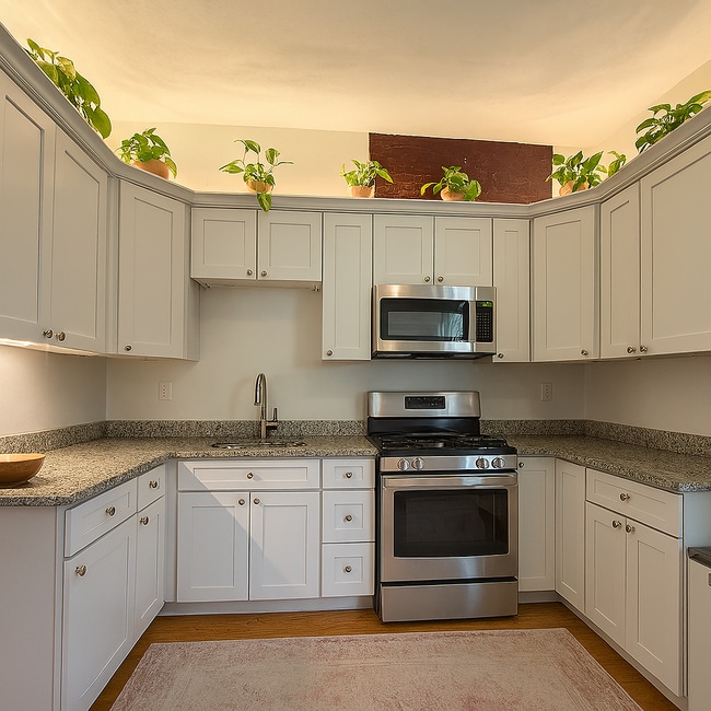 10 Creighton St, Unit 1