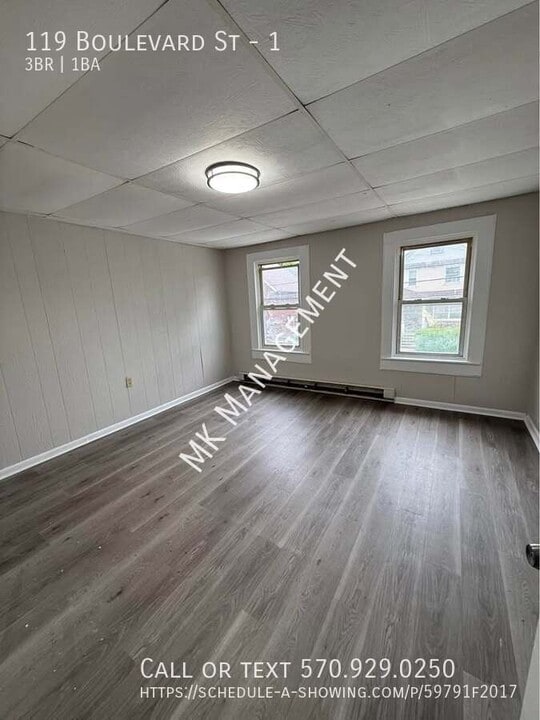 119 Boulevard St in Dunmore, PA - Building Photo