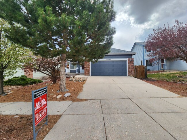 4650 Bittercreek Dr in Colorado Springs, CO - Building Photo - Building Photo