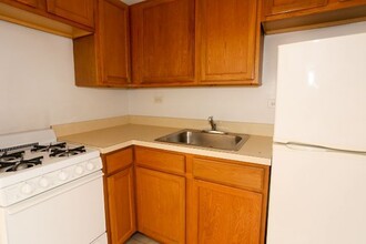 1167 N Dearborn St in Chicago, IL - Building Photo - Building Photo
