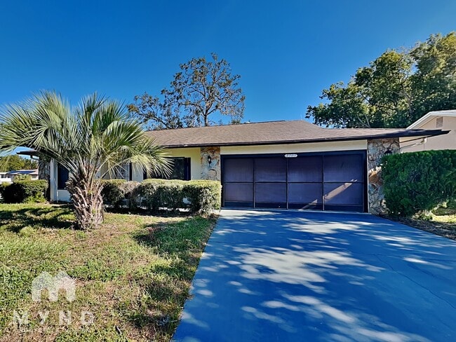 8703 Briar Patch Dr in Port Richey, FL - Foto de edificio - Building Photo