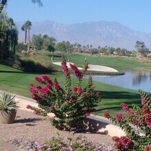 81722 Camino Los Milagros in Indio, CA - Building Photo - Building Photo