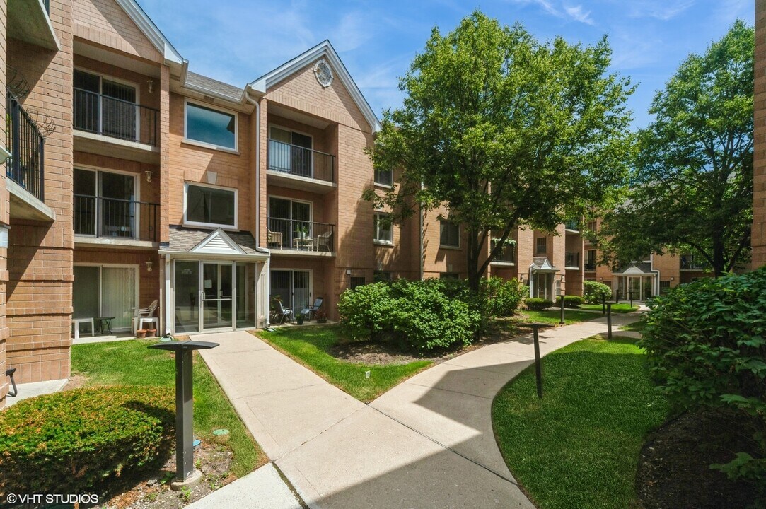 8710 W Evelyn Ln in Chicago, IL - Building Photo