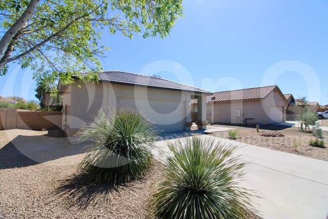 11379 W Burning Sage St in Marana, AZ - Building Photo - Building Photo
