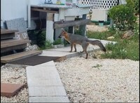 501 Owl Hollow Rd photo'