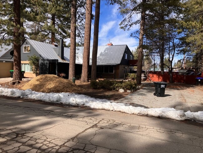 3581 Bill Ave in South Lake Tahoe, CA - Building Photo - Building Photo