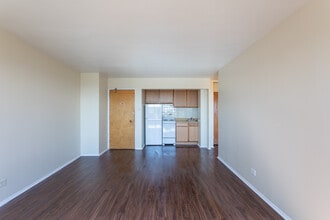 The Townhouse Apartments in Chicago, IL - Building Photo - Building Photo
