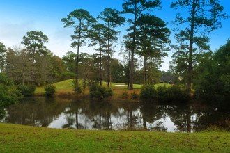 The Woodlands in Savannah, GA - Building Photo - Other