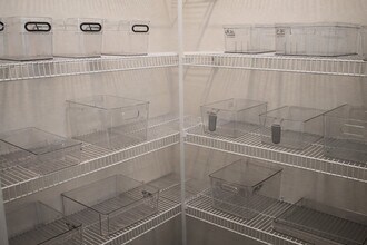 72 Brewster Ln in Palm Coast, FL - Building Photo - Building Photo