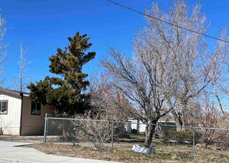 175 W 2nd Ave in Sun Valley, NV - Building Photo