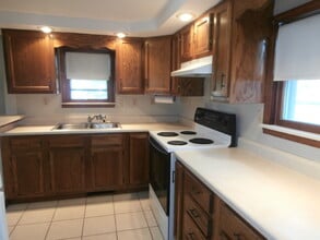 3806 Tilden St in Hannibal, MO - Building Photo - Building Photo
