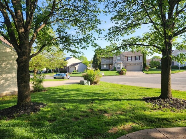 1146 Deercreek Dr in Fairborn, OH - Building Photo - Building Photo