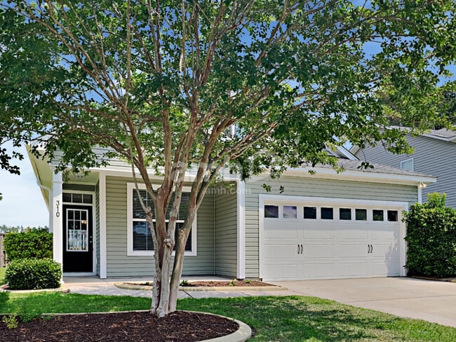 property at 310 Sanctuary Park Dr